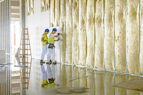 Professional Insulation in China Grove, NC